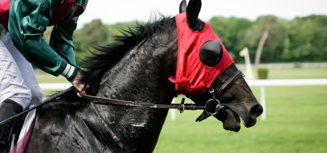 horse-racing-picjumbo-com
